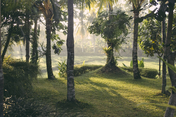 Villa Sabandari – Ubud – Bali – Vision Villa Sabandari - Ubud - Bali - Vision