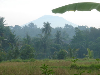 Zicht vanuit een boutique hotel in de rijstvelden vlakbij Ubud, Bali