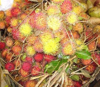 Rambutan for sale on a market in the south of Bali, Indonesia