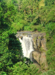 Waterval van Tegenungan ritje vanuit Ubud Hotel Bali