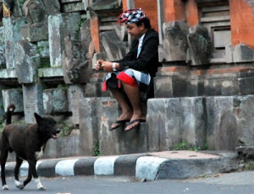 Veilig Verkeer Bali