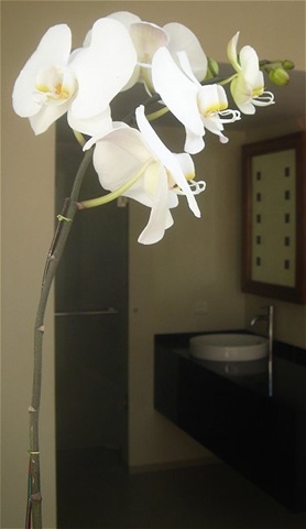 Hotels op Bali hebben orchideeën