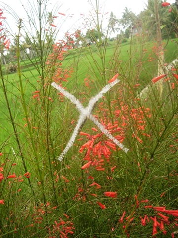 andrew1 No-nonsense ‘Argiope keyserlingii’ in Villa Sabandari in Ubud, Bali