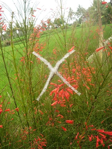 No-nonsense ‘Argiope keyserlingii’ in Villa Sabandari in Ubud, Bali