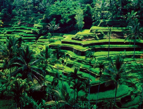 Ubud, Bali Ranked Among the World 10 Friendliest Cities by Conde Nast Traveler