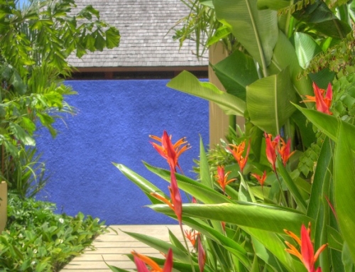 Majorelle Blue in Ubud Bali