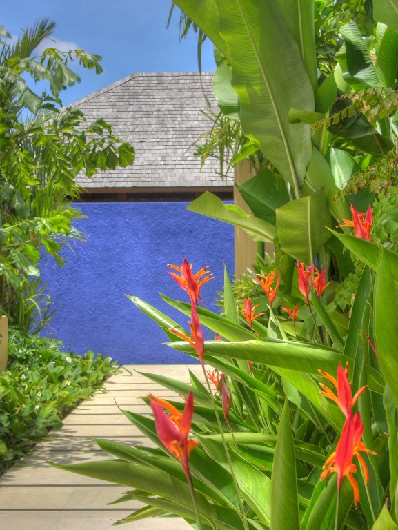 Villa Sabandari - Ubud - Majorelle Blue