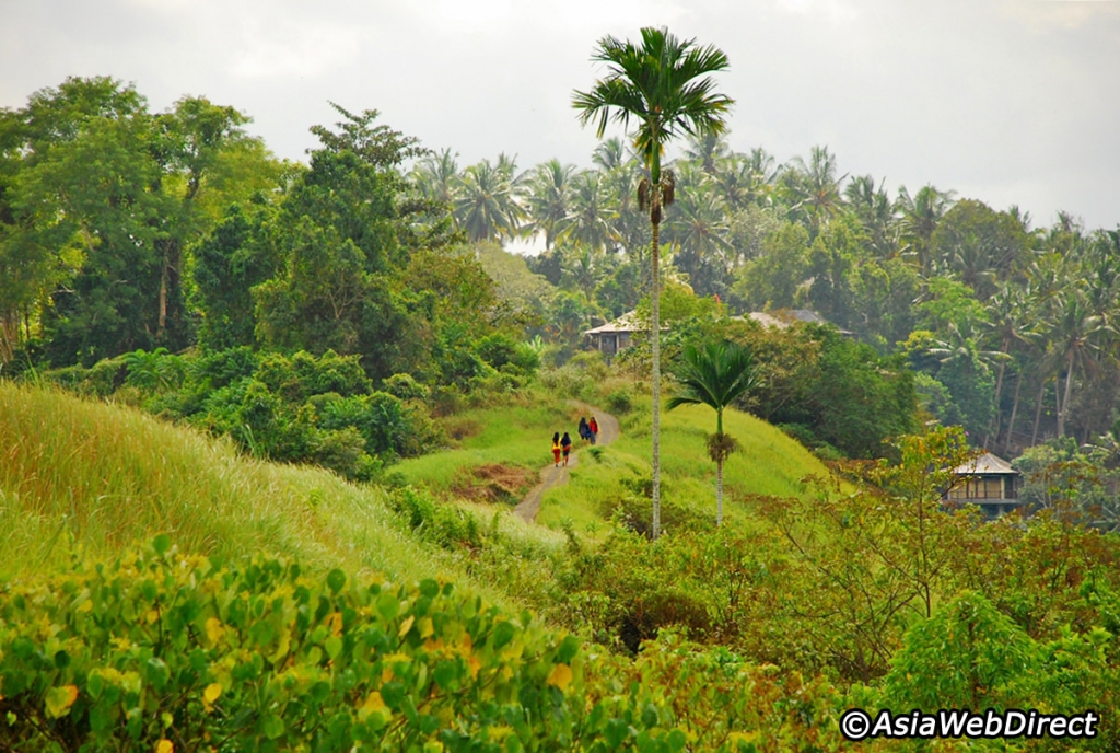 campuhan-ridge-walk-ubud